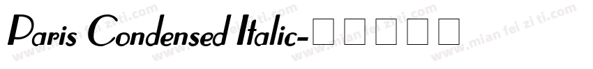 Paris Condensed Italic字体转换